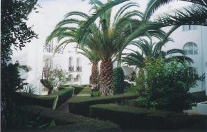 Tavira Garden